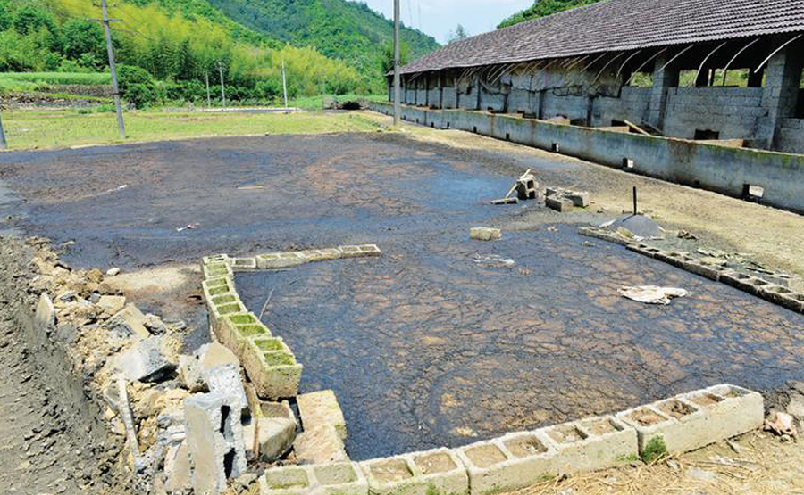 沼氣工程副產物處理：沼渣離心脫水后資源化利用路徑