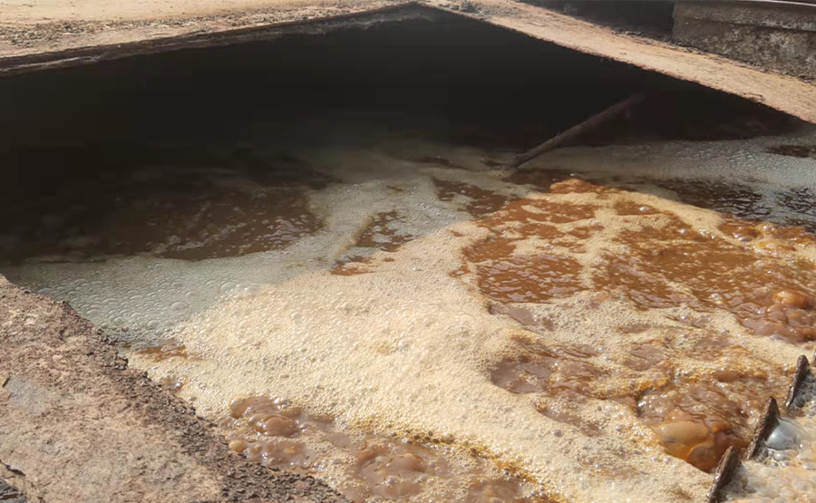 屠宰場污水固液分離機處理雞架鴨架效果怎樣?(圖1) 屠宰場污水固液分離機處理雞架鴨架效果怎樣?(圖1)